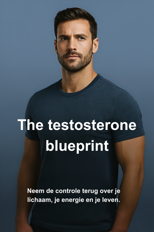 Testosterone blueprint